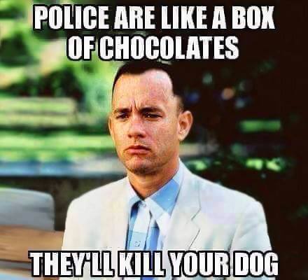 police-are-like-box-of-chocolates-meme