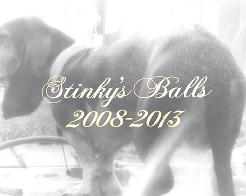 R.I.P. Stinky’s Balls